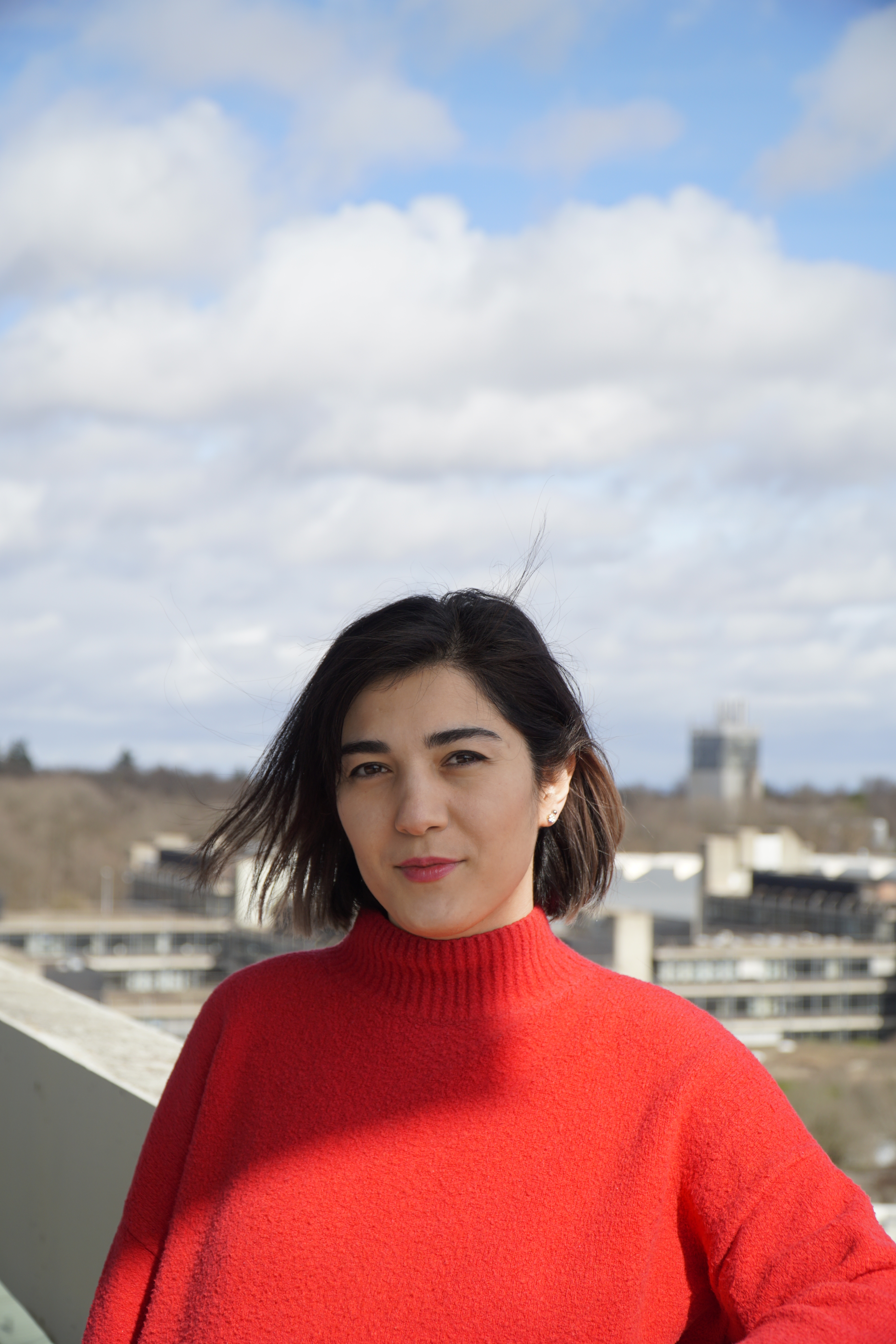 This image shows Dr. Sepideh Zokaei