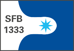 SFB 1333
